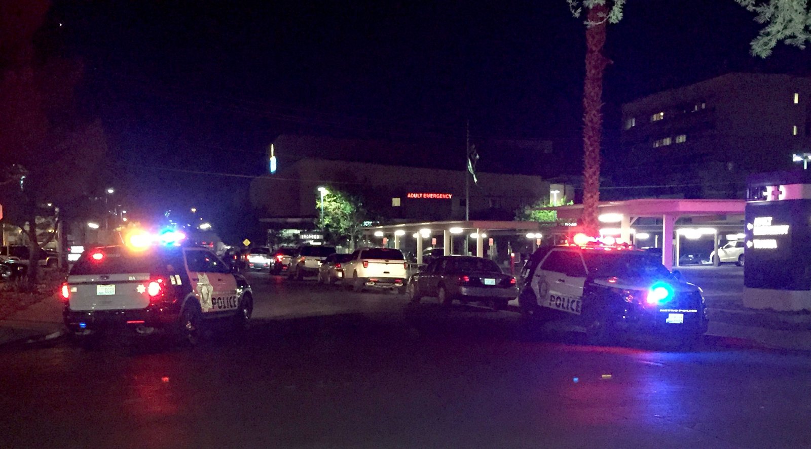 Sudden  Massive Gunfire at Music Concert in Las Vegas-20 Dead