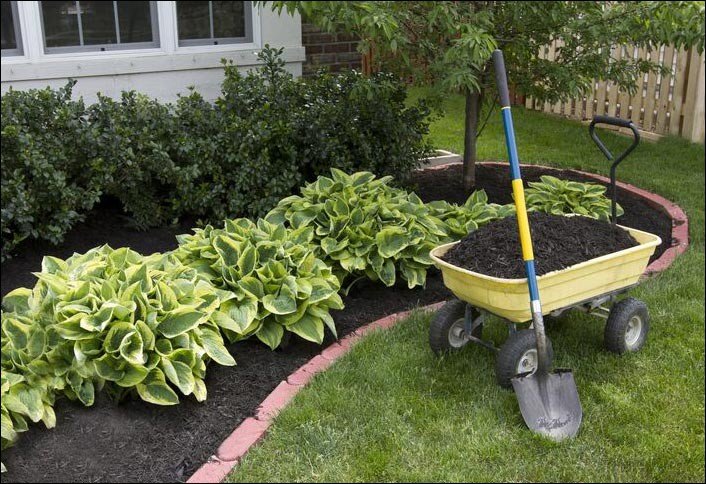 What are Essential Tools for For Your Home Gardening Area?