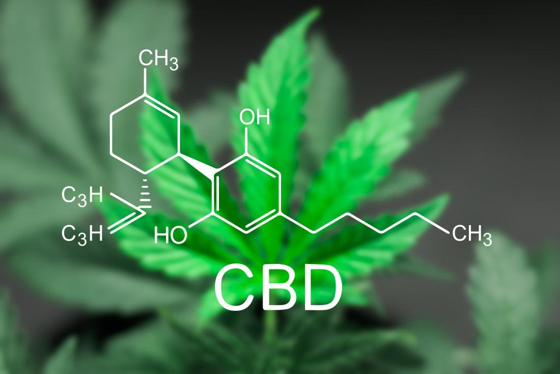 How Is CBD Helpful for the harmful Kidney Diseases?
