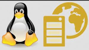linux web hosting